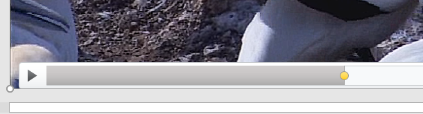 Add a Bookmark