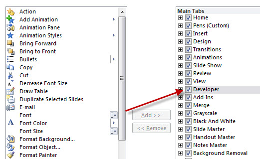 Developer Tab